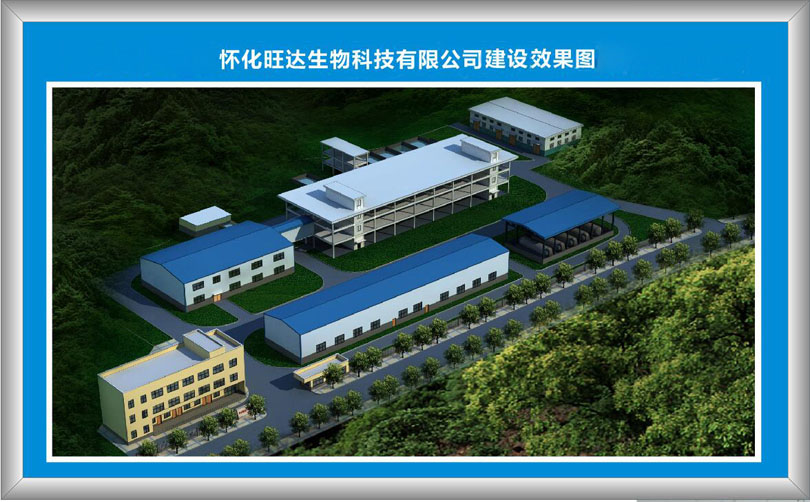 开云手机在线登陆入口